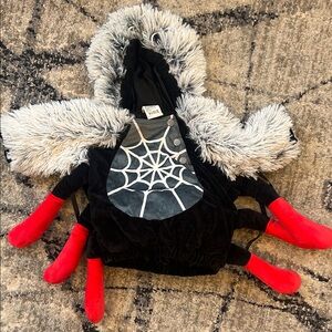 Spider Costume with Red Legs and Gray Fur
